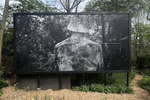 Bethnal Green Nature Reserve image