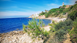 Spiazzo del Castello
'in fotoğrafı vahşi alan
