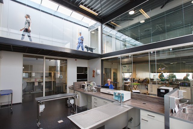 Specialist Veterinary Clinic Utrecht