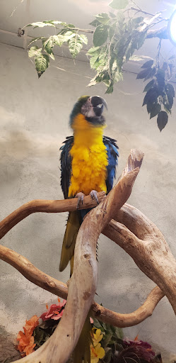 Pet Supply Store «PetKraze», reviews and photos, 100 Independent Way, Brewster, NY 10509, USA