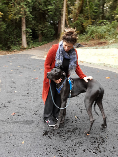 Golf Club «Meadowmeer Golf & Country Club», reviews and photos, 8530 Renny Ln NE, Bainbridge Island, WA 98110, USA