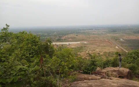 Elephant hill,Barkani image