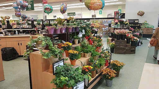 Grocery Store «ACME Markets», reviews and photos, 801 Kenilworth Blvd, Kenilworth, NJ 07033, USA