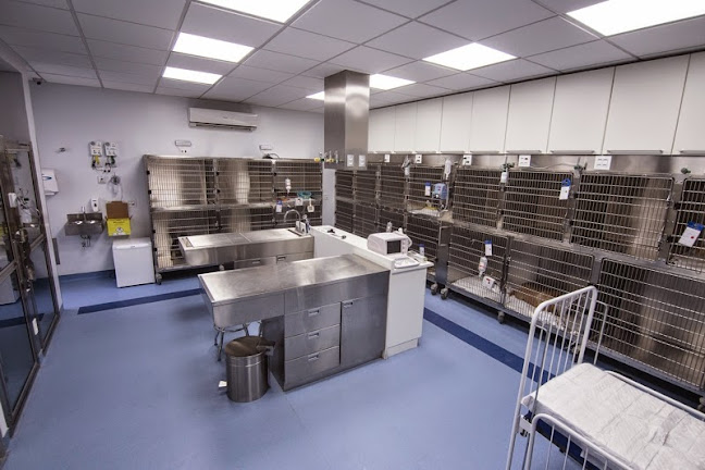 Vet Quality Hospital Veterinário 24h - Hospital