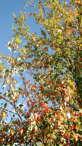 Park «Sherando Park», reviews and photos, 255 Lakeview Cir, Stephens City, VA 22655, USA