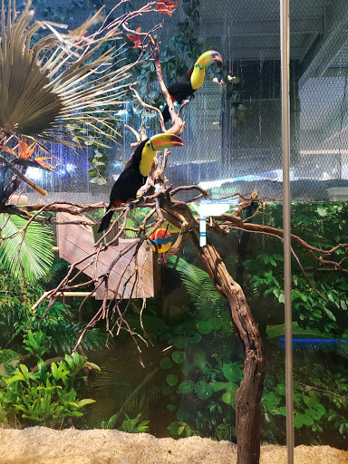 Tourist Attraction «OdySea Mirror Maze», reviews and photos, 9500 East Vía de Ventura #200, Scottsdale, AZ 85256, USA