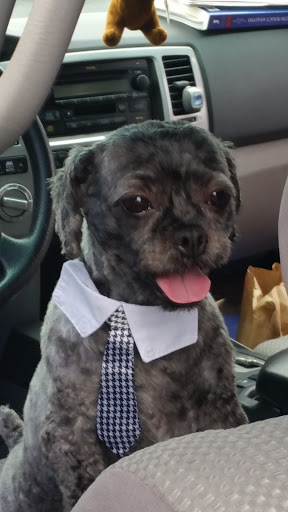 Pet Supply Store «Petco Animal Supplies», reviews and photos, 18578 Coastal Hwy #12, Rehoboth Beach, DE 19971, USA