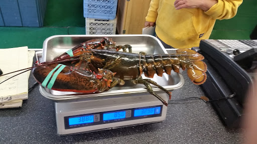 Seafood Market «Parsons Lobsters», reviews and photos, 64 Eagle Lake Rd, Bar Harbor, ME 04609, USA