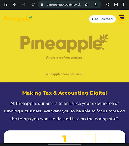 Reviews of Pineapple Accounts Limited in Newport - Financial Consultant