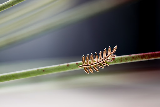 Explore small naruto tattoo ideas, creative tattoo ideas in Lees Summit, available at Radiance Piercing