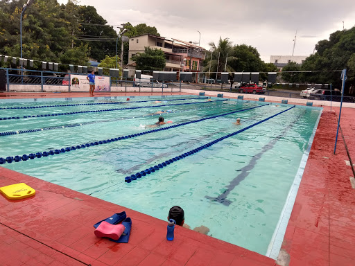 Competição de natação Manaus