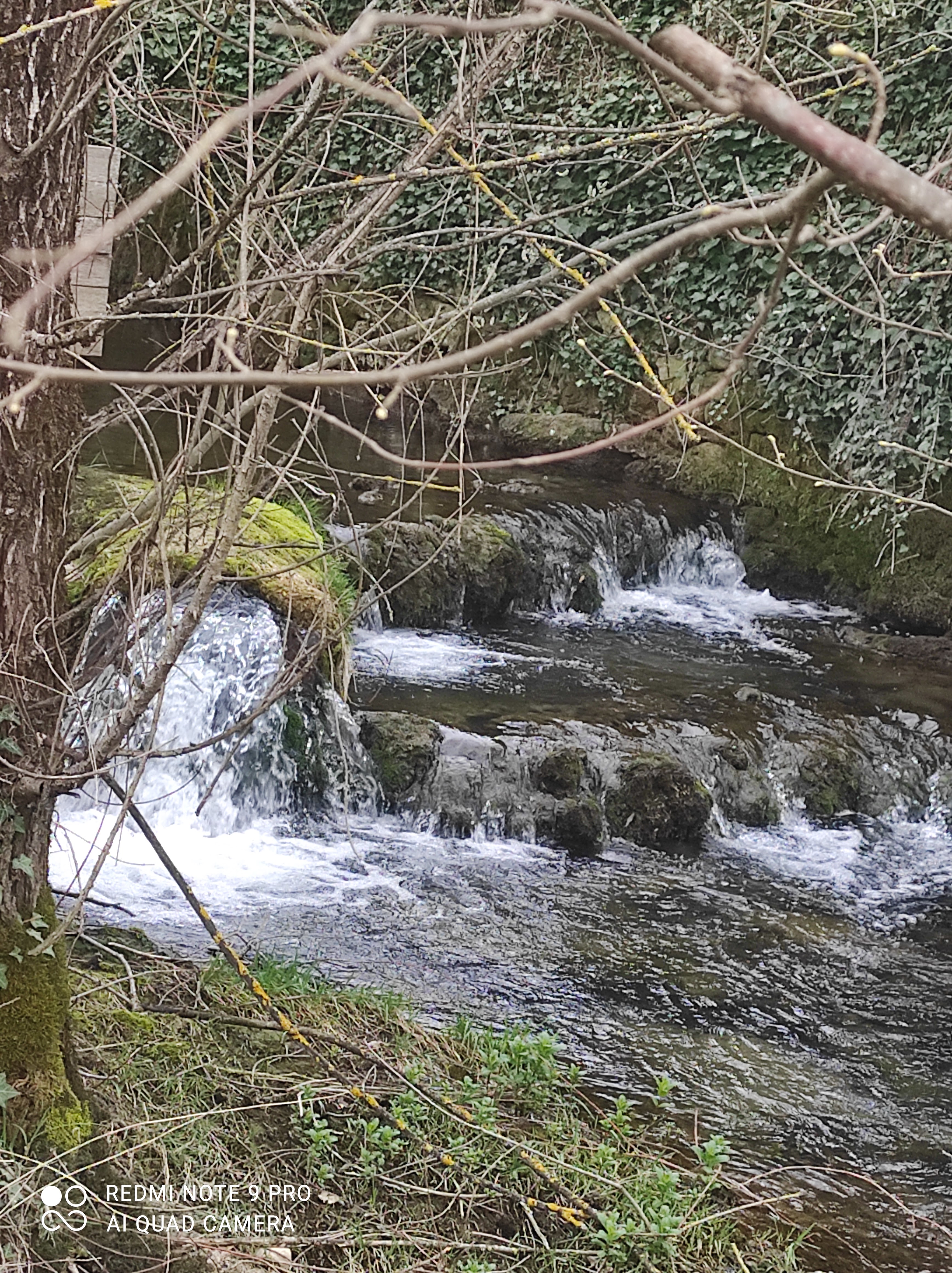 Photo n° 2 de l'avis de Estelle.i fait le 20/03/2022 à 15:07