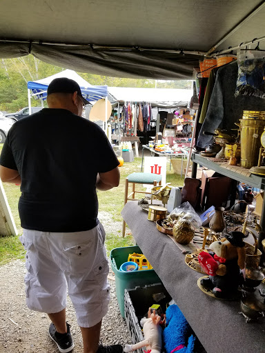 Flea Market «Olde Tyme Flea Market», reviews and photos, 5400 State Rd 46, Nashville, IN 47448, USA