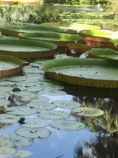 Garden «Bok Tower Gardens», reviews and photos, 1151 Tower Blvd, Lake Wales, FL 33853, USA