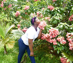 Santua Gardens photo