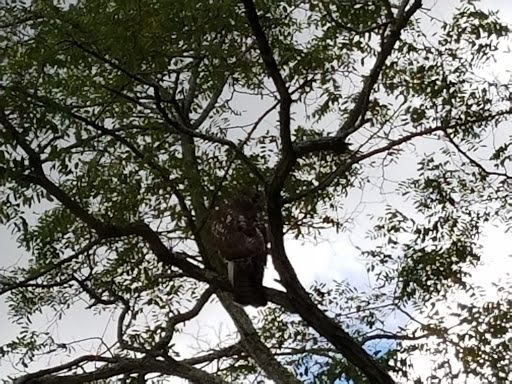 Park «Acushnet Sawmill», reviews and photos, 32 Mill Rd, Acushnet, MA 02743, USA