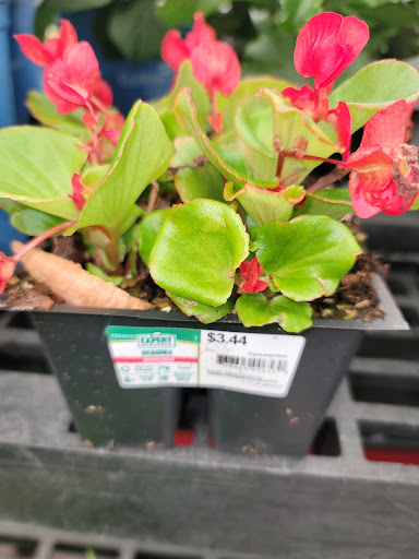 Discount Store «Walmart», reviews and photos, 910 Wolcott St, Waterbury, CT 06705, USA