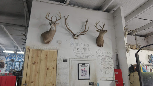 Gym «Metroflex Gym», reviews and photos, 2921 S Cooper St #109, Arlington, TX 76015, USA