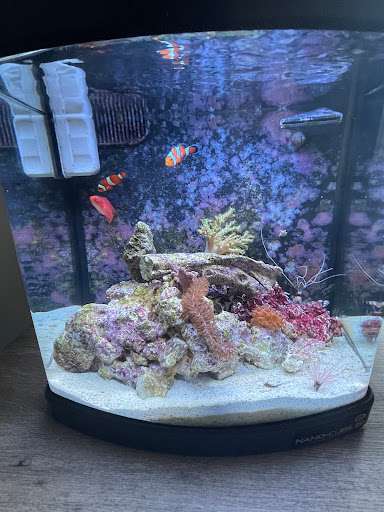 Tropical Fish Store «Life Aquatic», reviews and photos, 9 South Ave, New Canaan, CT 06840, USA