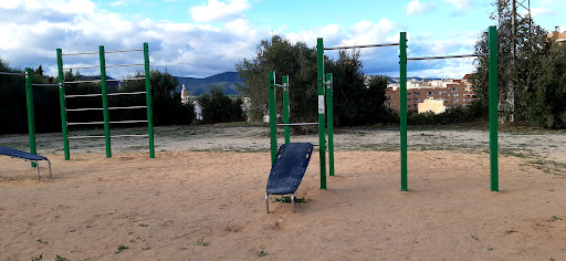 Barras calistenia en Ontinyent, Valencia