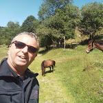 Photo n°6 de l'avis de Dario.o fait le 07/07/2023 à 13:47 sur le  Baita Di Orimento Di Del Zoppo Loredana à San Fedele Intelvi