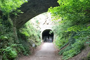 Wye Valley Greenway Tidenham Tunnel South. image
