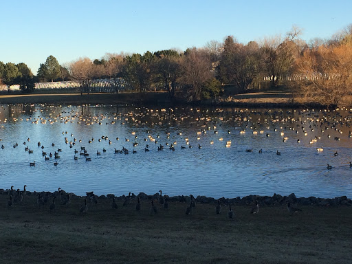 Country Club «Pinehurst Country Club», reviews and photos, 6255 W Quincy Ave, Denver, CO 80235, USA