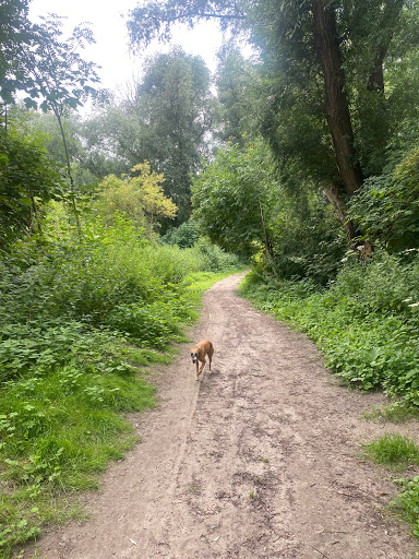 De Esch natuurpad