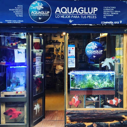 Aquaglup