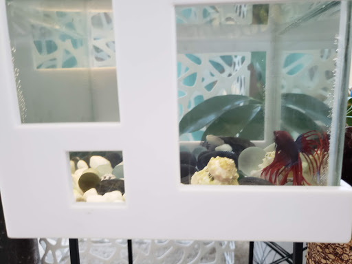 Pet Supply Store «Petco Animal Supplies», reviews and photos, 8909 Branch Ave d, Clinton, MD 20735, USA