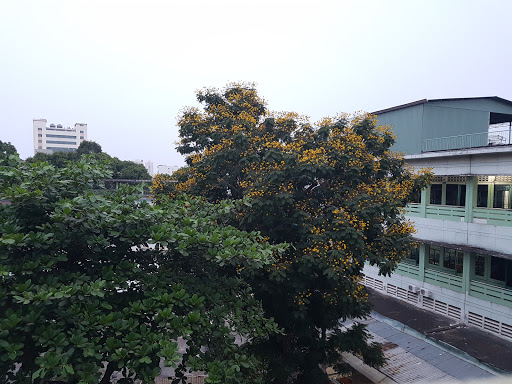 Nhat Nghe Education JSC