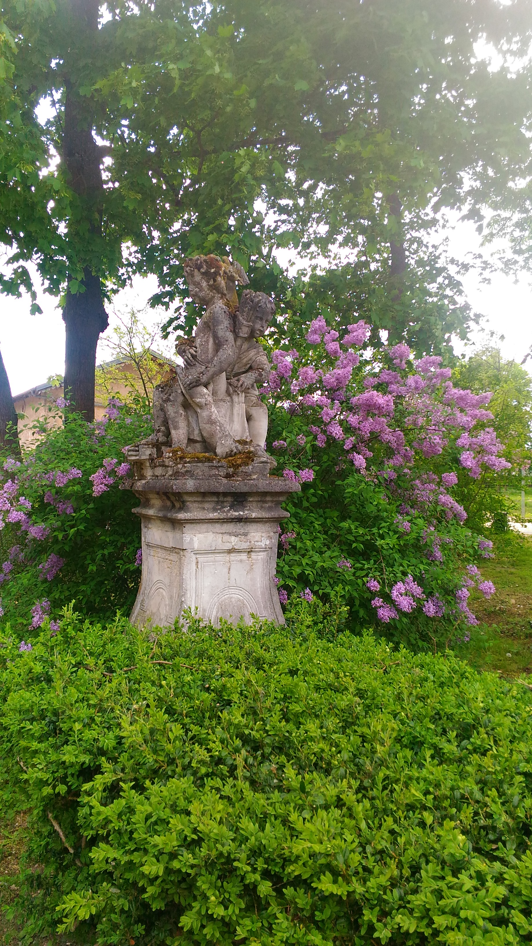 Photo n° 11 de l'avis de Chrystelle.e fait le 21/04/2019 à 16:16