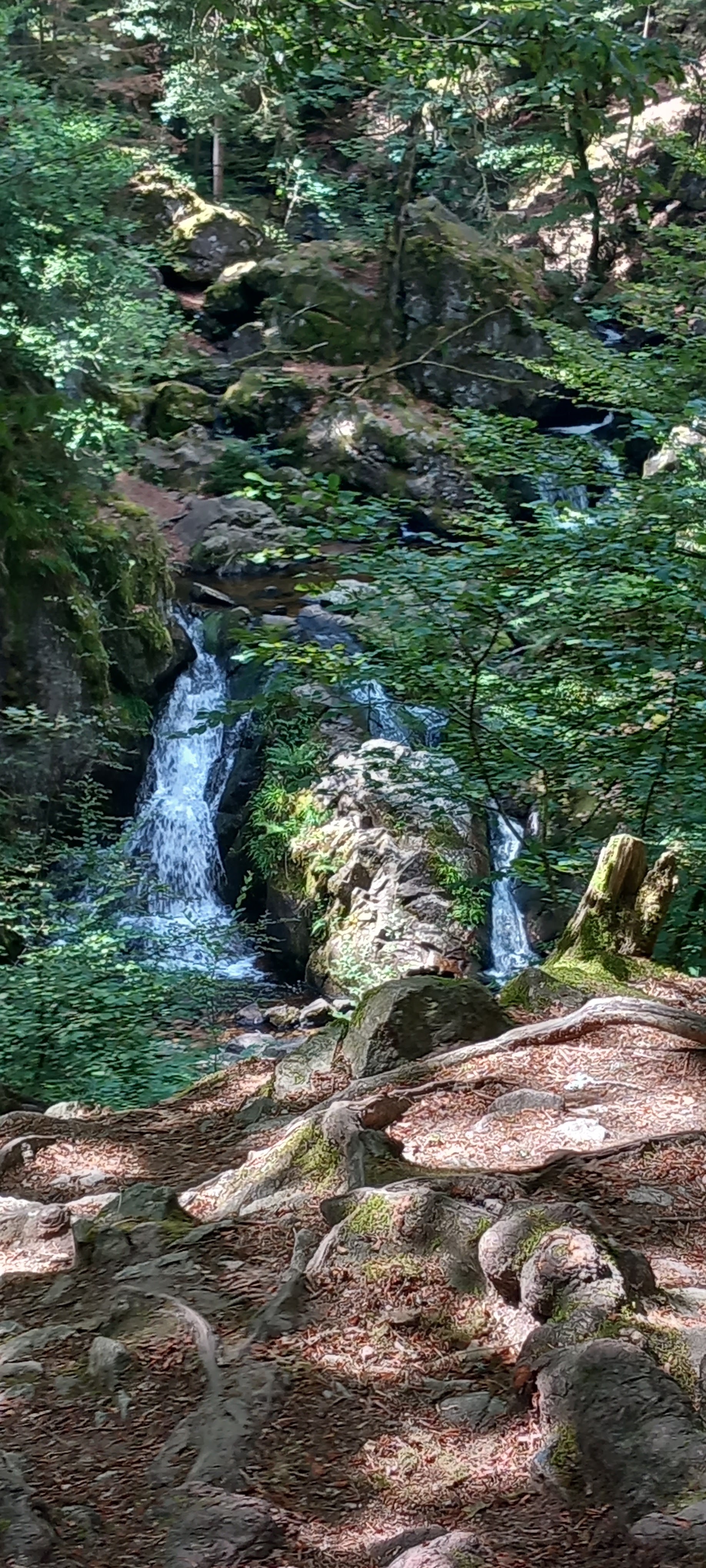 Photo n° 2 de l'avis de stef.a fait le 16/07/2023 à 11:15