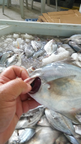 Opiniones de Рыбный Порт Анконсито en Quito - Centro comercial