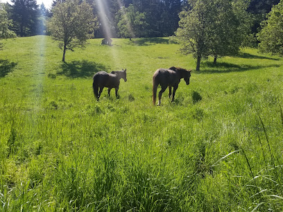 Oregon Horse Rescue