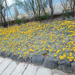 Photo n°3 de l'avis de Lara.a fait le 13/05/2024 à 05:44 sur le  Giardini Poseidon Terme à Forio