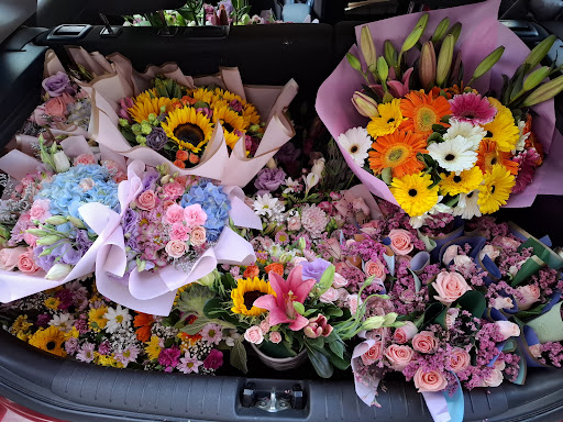 Florerías en Salvatierra, Guanajuato: Entrega a Domicilio y Servicio 24 Horas