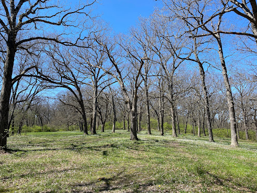 Nature Preserve «Pulaski Woods East», reviews and photos, 9600 Wolf Rd, Willow Springs, IL 60480, USA
