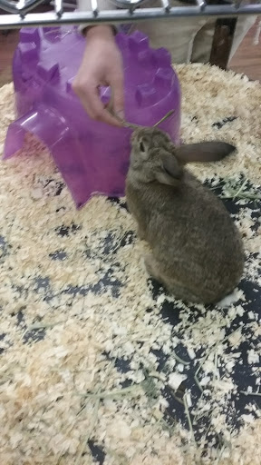 Club «All Pets Club», reviews and photos, 351 Boston Post Rd, North Windham, CT 06256, USA