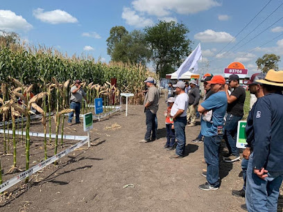 Agroproductos y fertilizantes BECRO