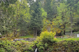 Oregon Caves Tours & Visitor Center