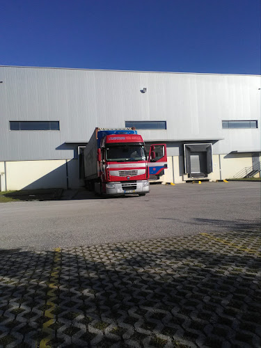 Luís Simões, Centro Logístico Bosch - Serviço de transporte