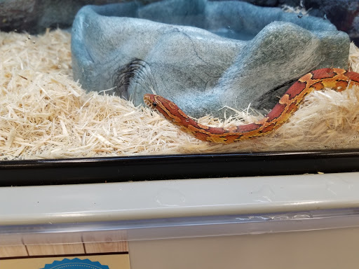 Pet Supply Store «Petco Animal Supplies», reviews and photos, 1310 Tingle Cir E b, Mobile, AL 36606, USA