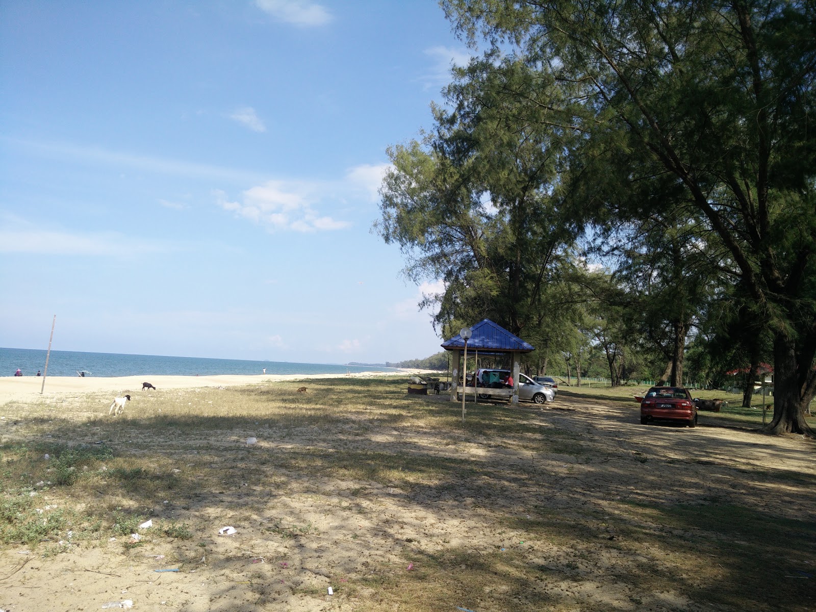 Rantau Panjang Beach photo #8