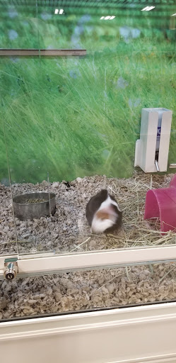 Pet Supply Store «PetSmart», reviews and photos, 162 S Gary Ave, Bloomingdale, IL 60108, USA