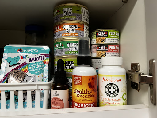 Pet Store «Pet Wize», reviews and photos, 11401 N 56th St, Tampa, FL 33617, USA