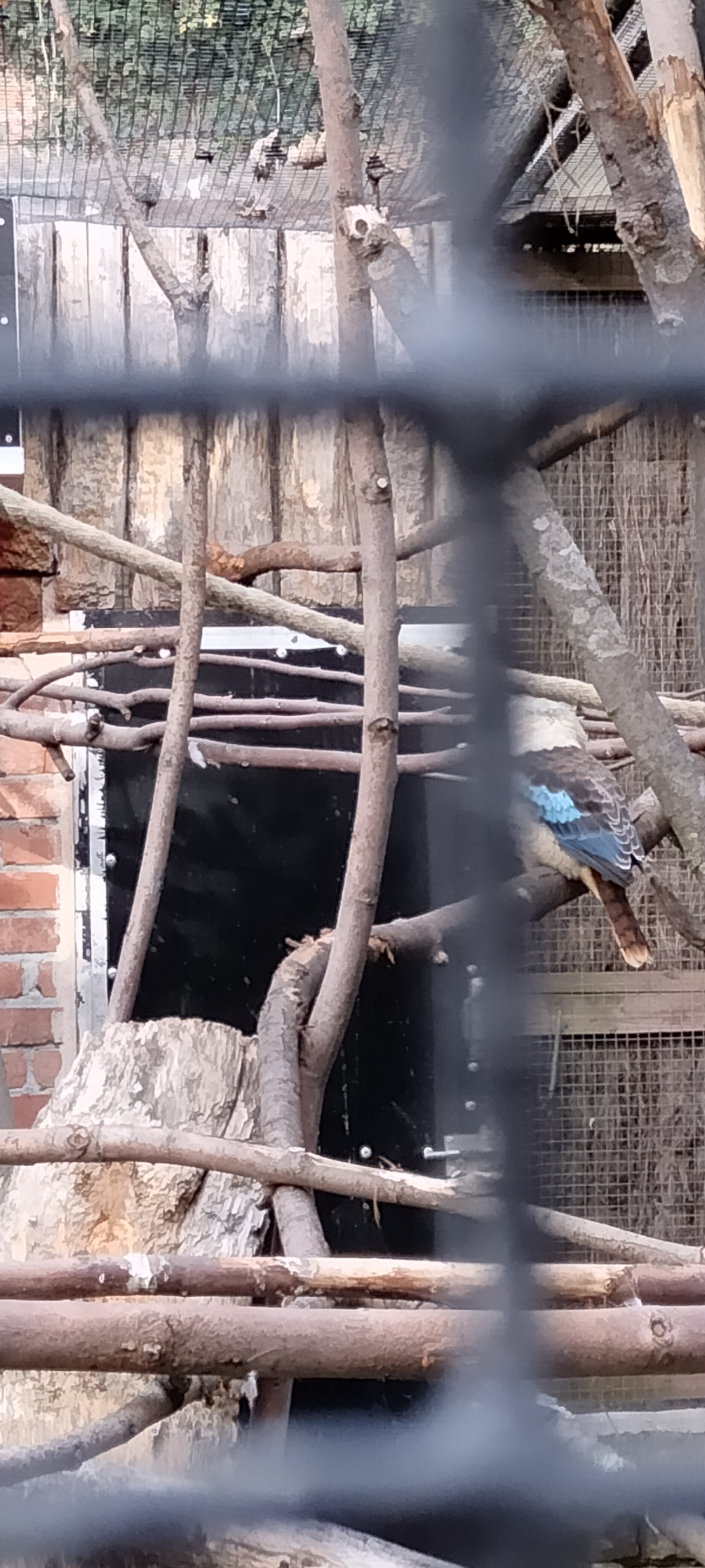 Photo n° 3 de l'avis de Sylvie.U fait le 07/11/2022 à 08:33