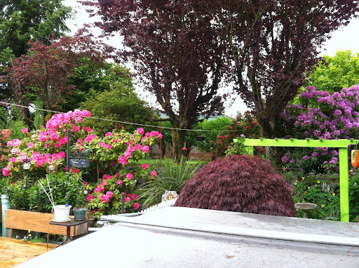 Golf Club «Fircrest Golf Club», reviews and photos, 1500 Regents Blvd, Fircrest, WA 98466, USA