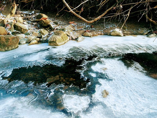 Tourist Attraction «Brandywine Gorge Trail», reviews and photos, 8176 Brandywine Rd, Sagamore Hills, OH 44067, USA