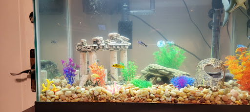 Pet Supply Store «PetSmart», reviews and photos, 2861 Veterans Memorial Pkwy, St Charles, MO 63303, USA